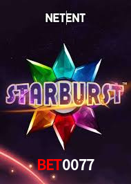 Programa VIP bet0077